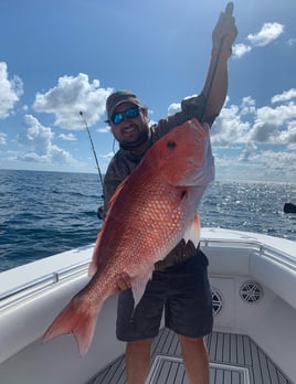 Afternoon Snapper Slam