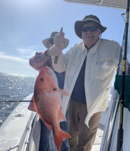 Afternoon Snapper Slam