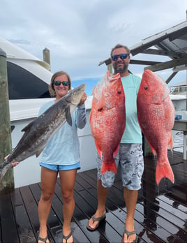 Afternoon Snapper Slam