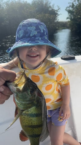 Peacock Bass Fishing in Clewiston, Florida