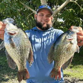 Black Crappie Meat trips