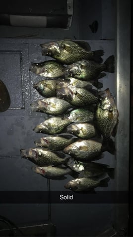 Black Crappie Meat trips