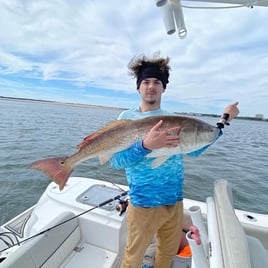 4 HR Inshore/Harbor/Jetties Fishing PM