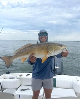 4 HR Inshore/Harbor/Jetties Fishing PM