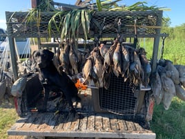 Early Season Texas Teal Hunt