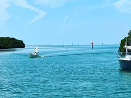 Reef Snapper Trip