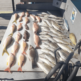 Reef Snapper Trip