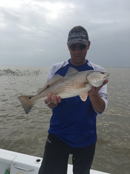 Choctawatchee Bay Inshore