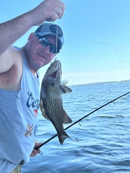 Choctawatchee Bay Inshore