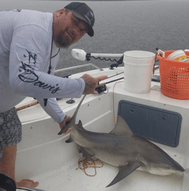 Action packed Coastal shark trip