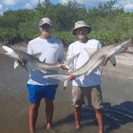 Action packed Coastal shark trip