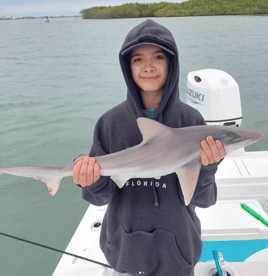 Action packed Coastal shark trip