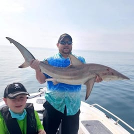 Coastal shark trips