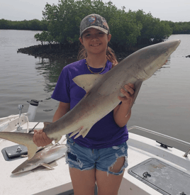 Action packed Coastal shark trip