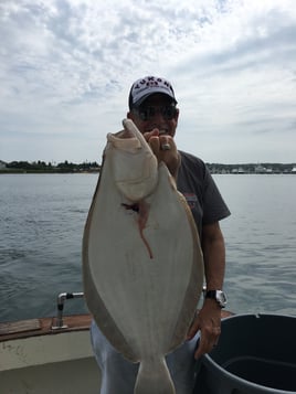 Summer flounder AKA Fluke trip