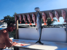 6 Hour Nearshore Bottom Fishing