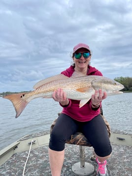 Redfish and Speckled Trout