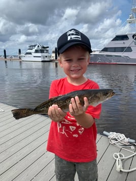 Amelia Island Inshore