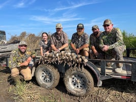 Louisiana Early Season Teal Hunts With LODGING