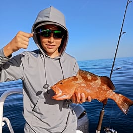 6-8 Hours Offshore Morning Trip