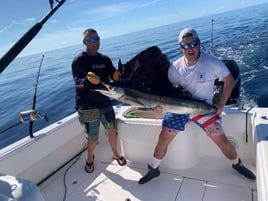 Sailfish Fishing in Lighthouse Point, Florida