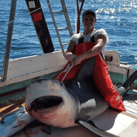 Shark Fishing Experience