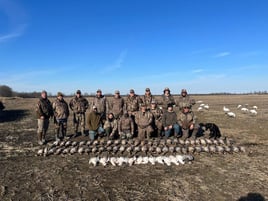 Full service Arkansas waterfowl hunts