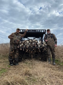 Full service Arkansas waterfowl hunts