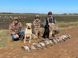 Full service Arkansas waterfowl hunts