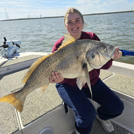 Black Drum Fishing in Galveston, Texas