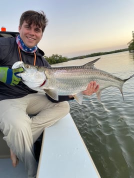 Tarpon Fishing in Naples, Florida