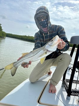 Snook Fishing in Naples, Florida