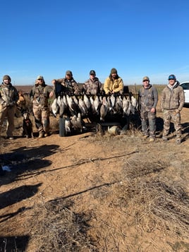 Premier Sandhill Crane hunting