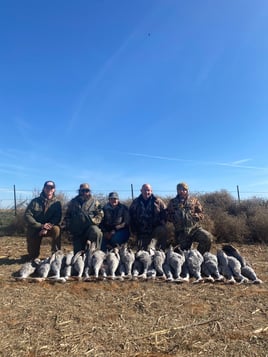 Premier Sandhill Crane hunting