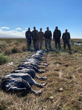 Premier Sandhill Crane hunting