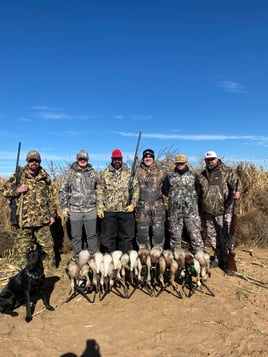 Premier Sandhill Crane hunting