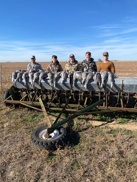 Premier Sandhill Crane hunting