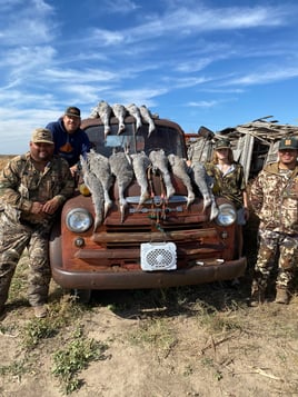 Premier Sandhill Crane hunting