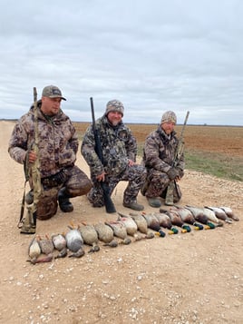 Premier Sandhill Crane hunting