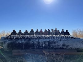 Premier Sandhill Crane hunting