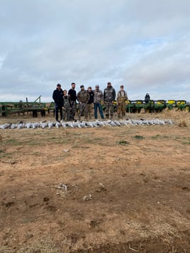 Premier Sandhill Crane hunting