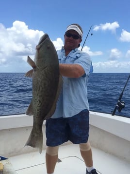 Gag Grouper Fishing in Sebastian, Florida