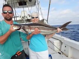 Cobia Fishing in Sebastian, Florida