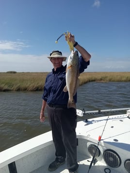 Redfish Fishing in Lafitte, Louisiana