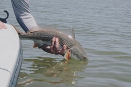 Redfish Fishing in Oak Hill, Florida