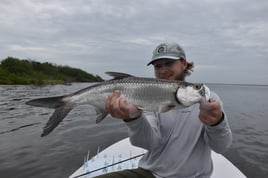 Tarpon Fishing in Oak Hill, Florida