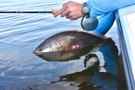 Redfish Fishing in Oak Hill, Florida