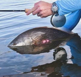 Redfish Fishing in Oak Hill, Florida