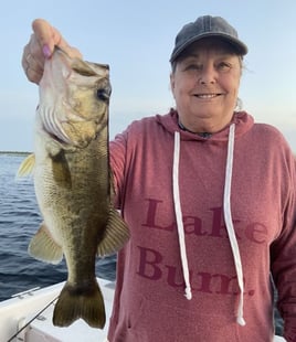 Largemouth Bass Fishing in Fellsmere, Florida