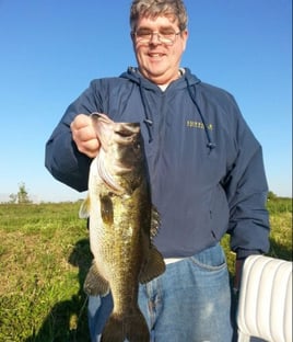 Largemouth Bass Fishing in Fellsmere, Florida